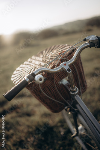 A retro bicycle with a basket against the backdrop of spring nature. Selective focus. Beautiful background.
