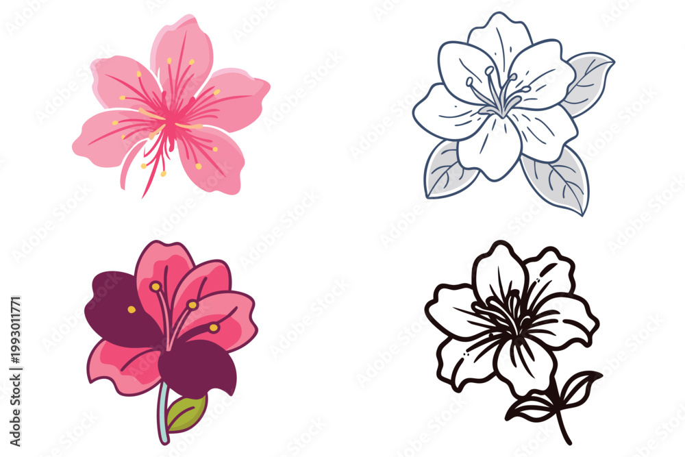 Obraz premium Vector Azalea Flower Illustration - Black Silhouette Icon