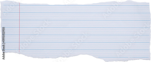 piece of lined paper tear isolated on white background