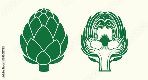 Artichoke Whole and Halved Silhouettes vector