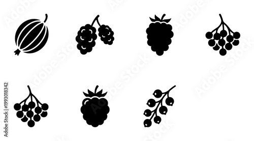 Minimalist berry icon set, black silhouette fruit vector collection, organic garden berries including raspberry, blackberry, gooseberry, and currant