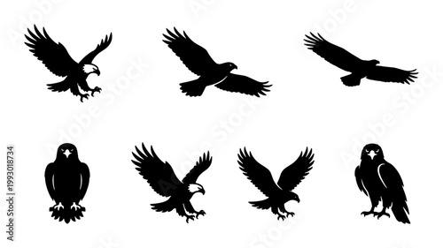 Quadro em tela Bald eagle silhouette vector collection, flying hawk and falcon bird icons, set