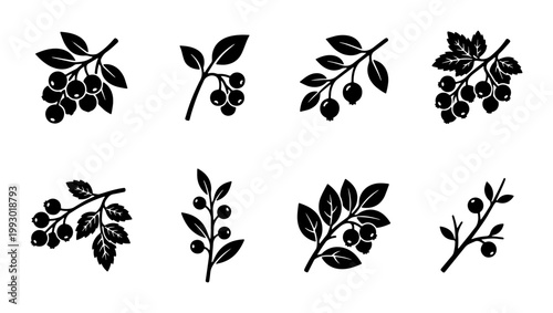Vintage berry branch silhouettes, collection of 8 botanical berry icons, black wild berry fruit vector set for organic food packaging and logo design