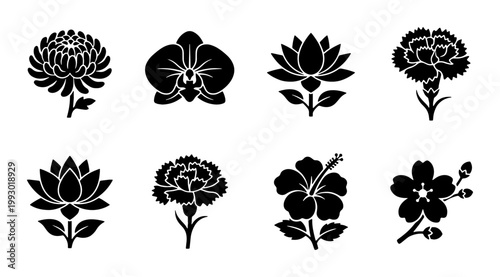 Minimalist black flower silhouettes, set of 8 floral icons including lotus and orchid, botanical vector elements for logo design and branding