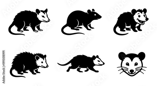 Opossum silhouette vector set, black and white marsupial icons, wild animal character collection, 6 opossum graphics for nature branding
