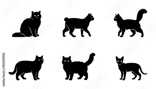 Black cat silhouette collection, set of 6 domestic feline vector icons, minimalist pet animal silhouettes for logo design and web graphics