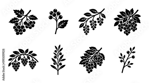 Vintage berry branch silhouettes, set of 8 botanical vector icons, black hand drawn garden fruit and leaf illustrations for organic branding