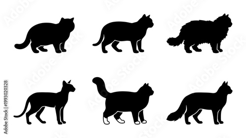 Black cat silhouettes set of 6 vector icons, various feline breeds standing in profile, minimalist animal shape collection for pet branding