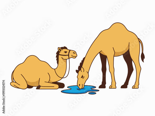 Two desert camels resting and drinking water from an oasis vector art