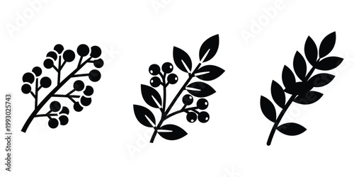 Berry and Leaf Branch Silhouettes berry, branch, leaf, plant, nature, food, ingredient