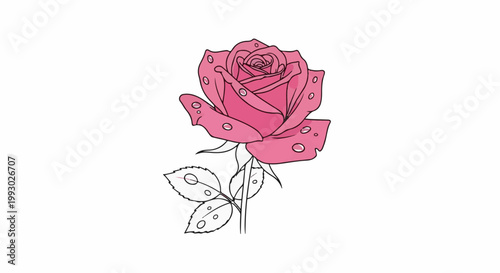 Detailed pink rose with dew drops on petals and leaves