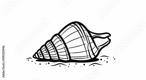Black and white drawing of a spiral seashell on sand