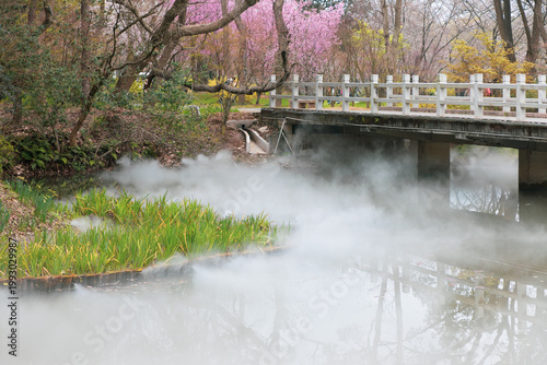 Εκτύπωση καμβά Chinese gardens shrouded in mist