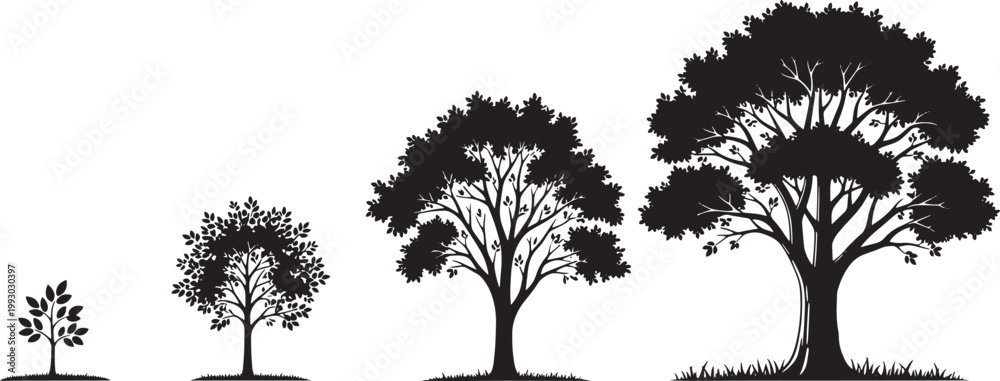 Fototapeta premium Growth progression of a tree depicted in a clear sequential illustration, from a small sapling to a majestic, fully mature arboreal form, symbolizing natural development and life cycle