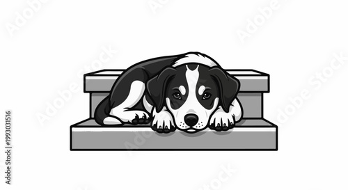 Adorable black and white puppy with floppy ears rests on steps