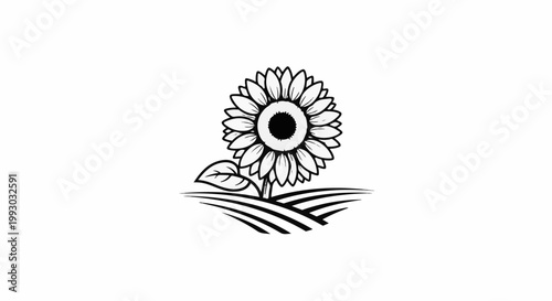 Black and white illustration of a sunflower in a stylized field