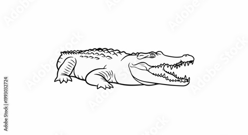 Line drawing of an alligator with its mouth open showing sharp teeth