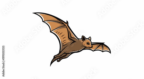 Brown bat with large wings flying through the air with spread wings