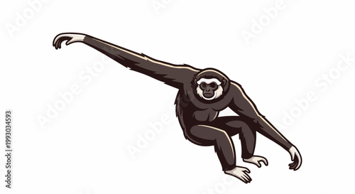 Dark-furred ape with long arms and white face accents, poised to swing