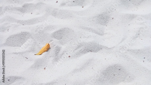White sand on the beach.