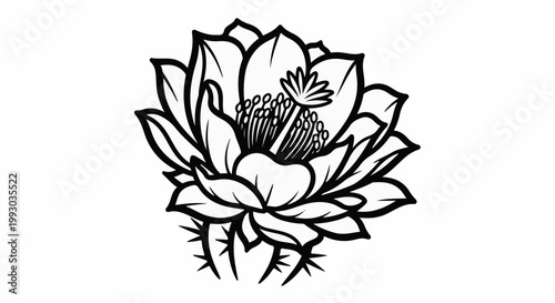 Detailed black and white line drawing of a blooming cactus flower