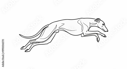 Line art depicts a sighthound mid-gallop, body stretched in motion