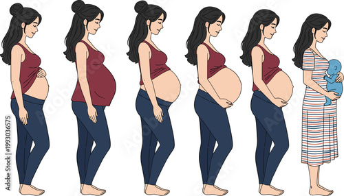 Pregnancy Progress Illustration Set Featuring Woman's Pregnancy Stages from Early to Postpartum with Different Outfits and Gestures.