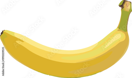 Realistic Fresh Yellow Banana Fruit Vector Illustration for Food, Nutrition, Organic, Grocery, Packaging, and Healthy Lifestyle Design Projects