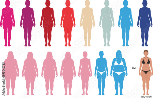 Female Body Shape and BMI Weight Scale Silhouette Vector Illustration Set Featuring Slim Curvy Overweight and Obese Women Figures for Health Fitness and Body Positivity Concept Design