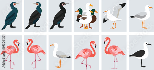 Colorful Wild Bird Collection Vector Illustration Set Featuring Flamingo Cormorant Duck Seagull and Various Water Birds for Nature Wildlife and Ornithology Concept Design
