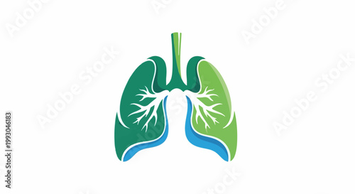 Abstract illustration of human lungs, symbolizing breathing and health