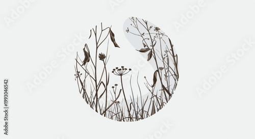 Abstract botanical illustration of dry seed pods and stalks within an oval shape