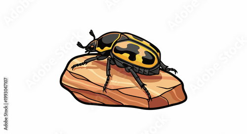A yellow and black beetle with segmented legs rests on a light brown, layered rock
