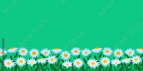 Daisy flower border on a green background with copy space. Features spring and summer chamomile in a floral design, in a flat vector style.