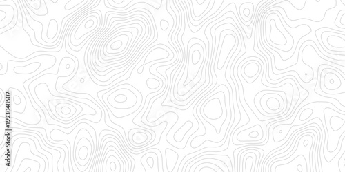 Clean White Background Topo Map Featuring Dense Elevation Contour Lines and Terrain Mapping Texture
Subtle Geographic Relief Pattern with Smooth Abstract Line Art and Seamless Surface Design