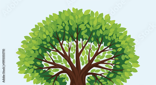 An overhead view of a lush green tree with brown branches and a light blue background