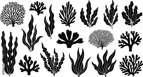 Black Silhouette Seaweed and Coral Collection with Various Ocean Plant Shapes for Marine, Underwater, and Nautical Design Projects