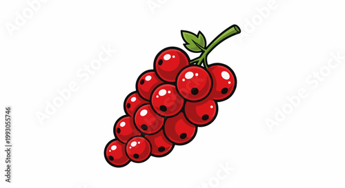 Bright red berries cluster on a green stem, graphic style