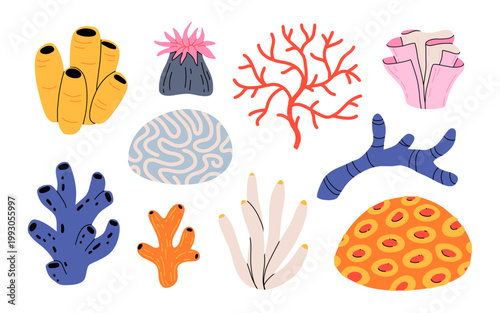 Hand drawn coral reef elements set, sea sponge, brain coral, seaweed, anemone, underwater plants collection isolated on white background