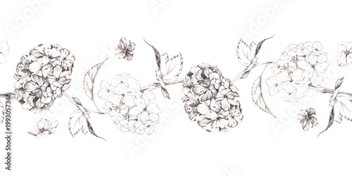 Schilderij op canvas Romantic hydrangea, elderberry flower, viburnum pompoms with delicate pencil sketch lines