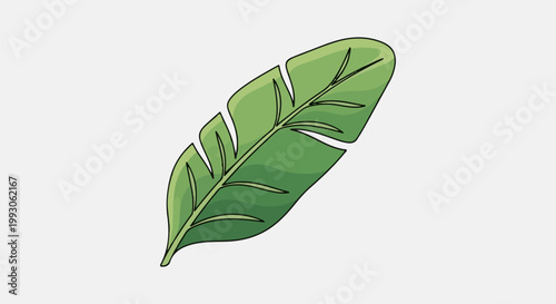 Vibrant green leaf with a textured appearance and clear outline