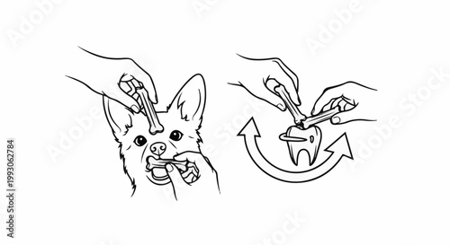 Dog dental care brushing teeth with a bone-shaped treat and cleaning a tooth