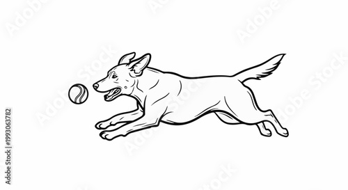 Animated dog running and chasing a ball