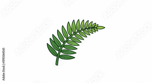 A stylized green fern frond curves upward against a white background