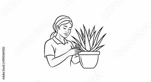 Person caring for a potted aloe vera plant indoors