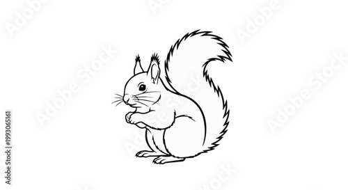 A black and white sketch of a fluffy-tailed squirrel sitting