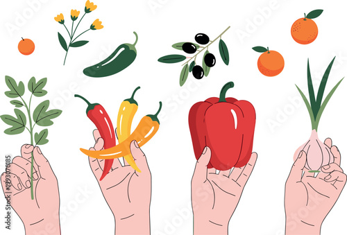 Hands holding fresh vegetables herbs and fruits set organic food concept with peppers olives garlic and greens illustration