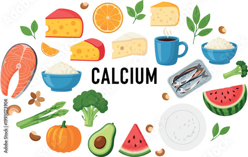 Healthy calcium rich food sources circular flat vector illustration featuring dairy cheese fish fresh fruits and green vegetables