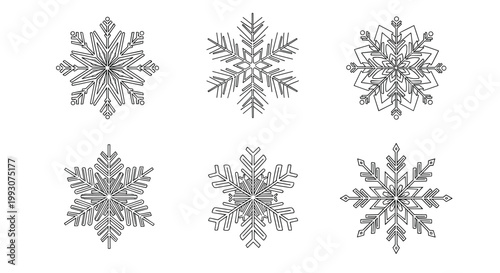 detailed collection of six unique snowflake designs with intricate patterns representing winter weather and cold seasons.