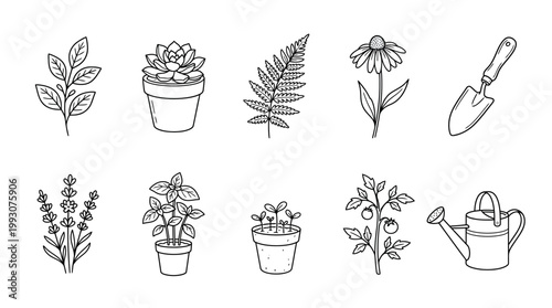 Collection of Hand Drawn Botanical Illustrations and Gardening Tools.